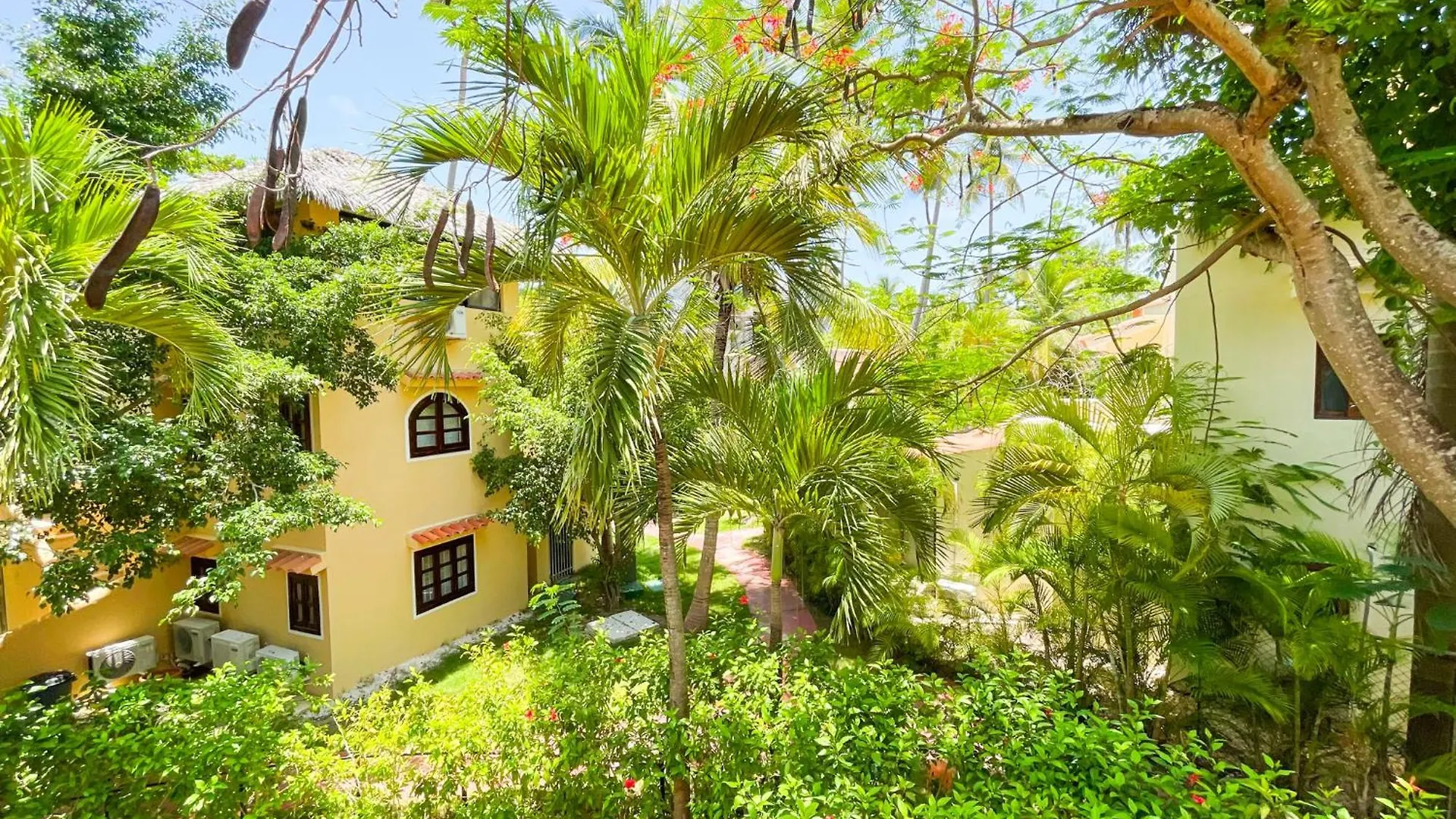 פונטה קאנה Caribbean Paradise Ocean Breeze Hotel With View Los Corales Bbq Wifi Beach Club & Spa