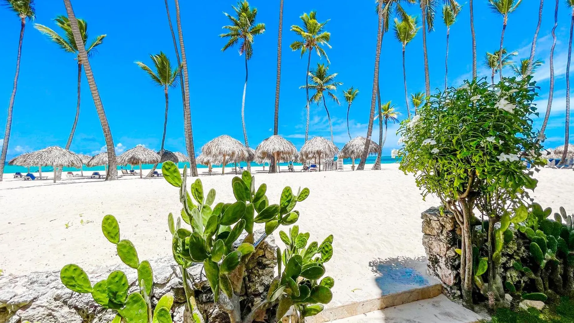 פונטה קאנה Caribbean Paradise Ocean Breeze Hotel With View Los Corales Bbq Wifi Beach Club & Spa הרפובליקה הדומיניקנית